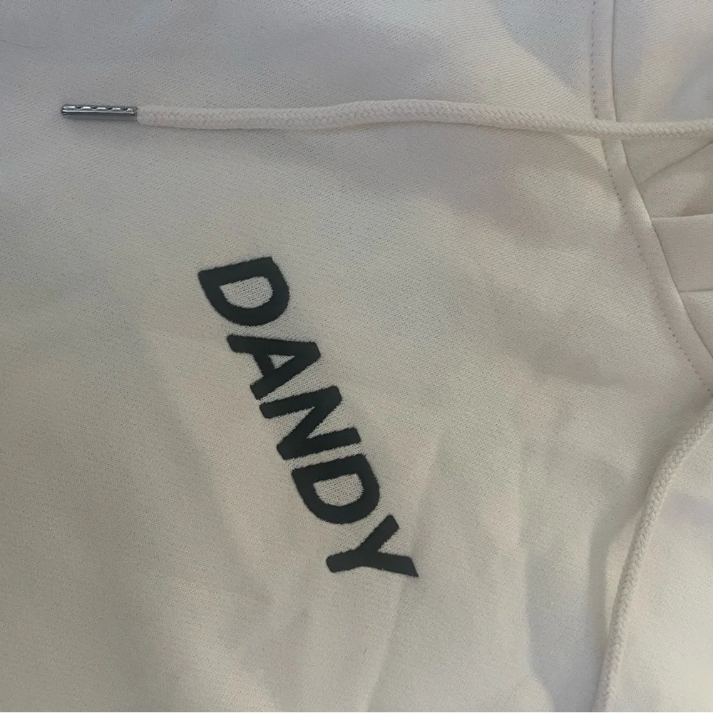 Dandy Worldwide “I Need Space” Hoodie – Crew Members Only – Size XL - Picture 4 of 7